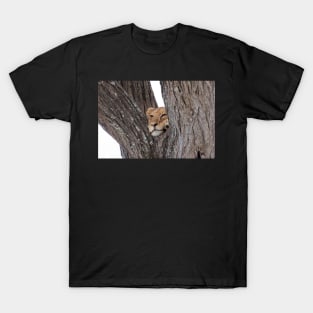 Young Masai Lion on a Tree T-Shirt